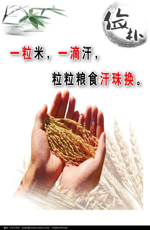 制作仿真房产证图片
